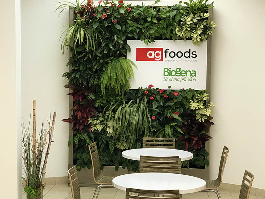 AG Foods, Košíkov - Designová zelená stěna s živými rostlinami