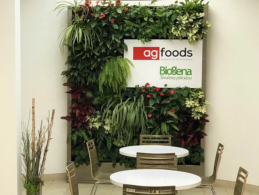 AG Foods, Košíkov, kvétinová stěna - Designová zelená stěna s živými rostlinami AG Foods, Košíkov - Designová zelená stěna s živými rostlinami
