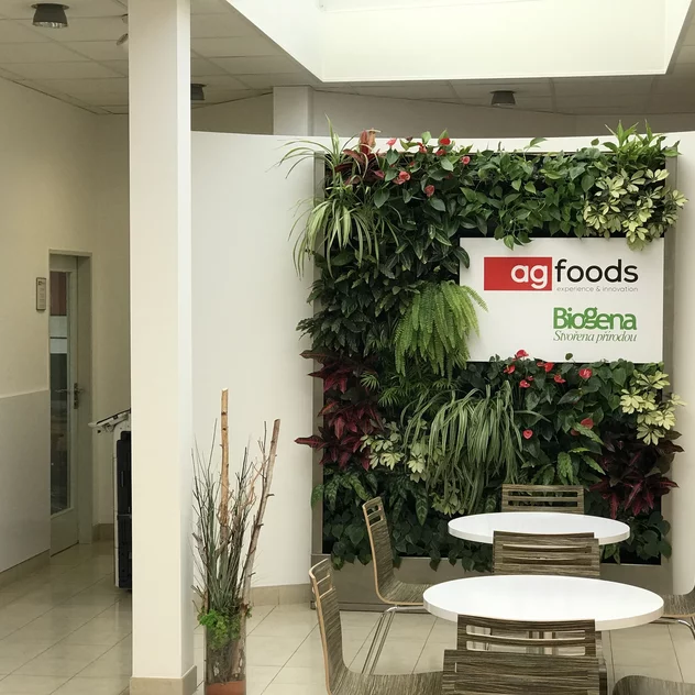 AG FOODS Košíkov - interiérová zelená stěna s květinami