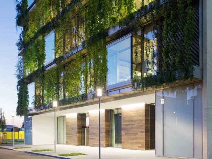 Fasáda Basel, realizace Jakob - Zelená fasáda s popínavými rostlinami na moderní budově ve městě