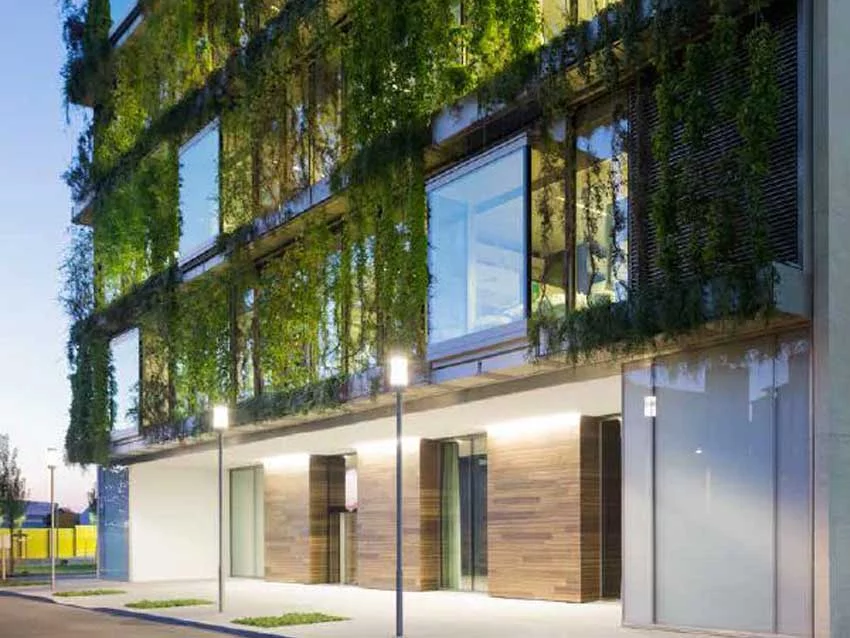 Zelená fasáda Basel, realizace Jakob - Zelená fasáda s popínavými rostlinami na moderní budově ve městě Fasáda Basel, realizace Jakob - Zelená fasáda s popínavými rostlinami na moderní budově ve městě