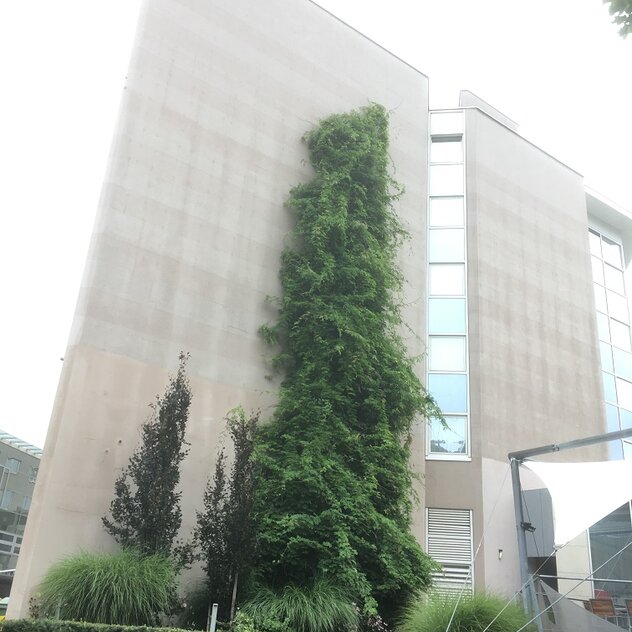 Holiday Inn Brno - moderní řešení zelené fasády pro budovy