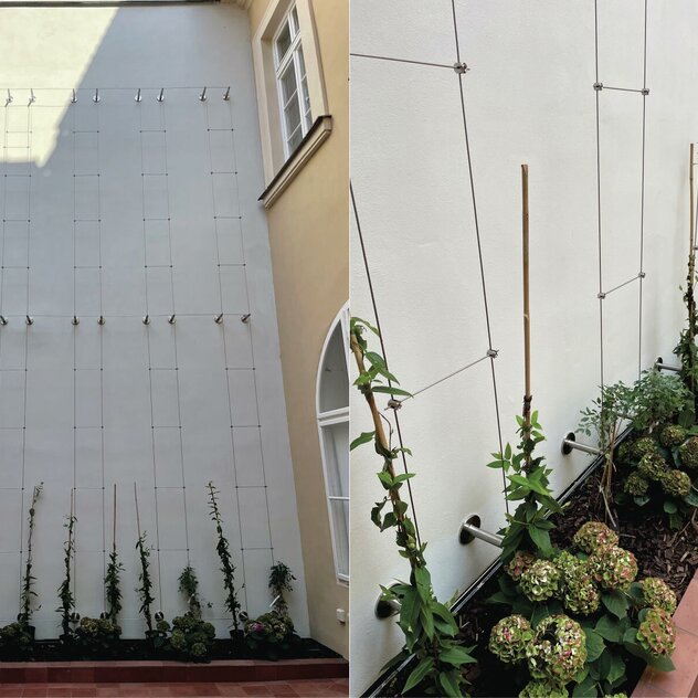 Hotel Míšeňská Praha - systém vertikální zeleně na venkovní stěně