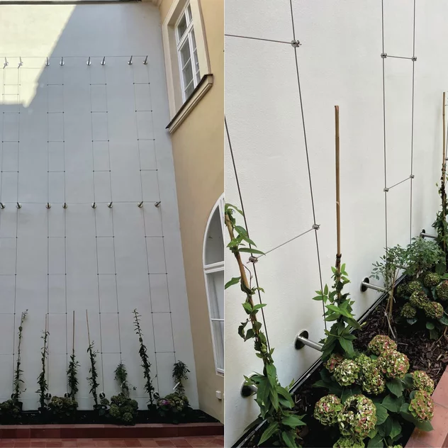 Hotel Míšeňská Praha - systém vertikální zeleně na venkovní stěně