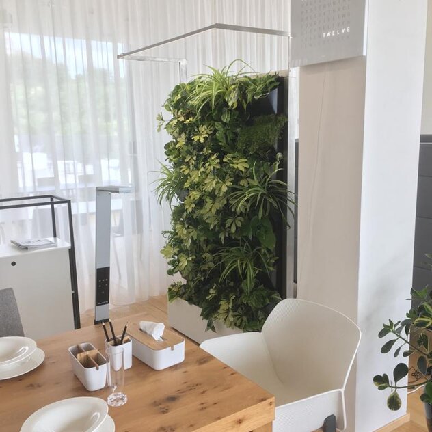 NEST interier Brno - mobilní živá stěna s pokojovými rostlinami