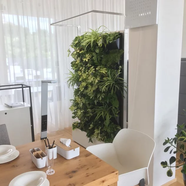 NEST interier Brno - mobilní živá stěna s pokojovými rostlinami