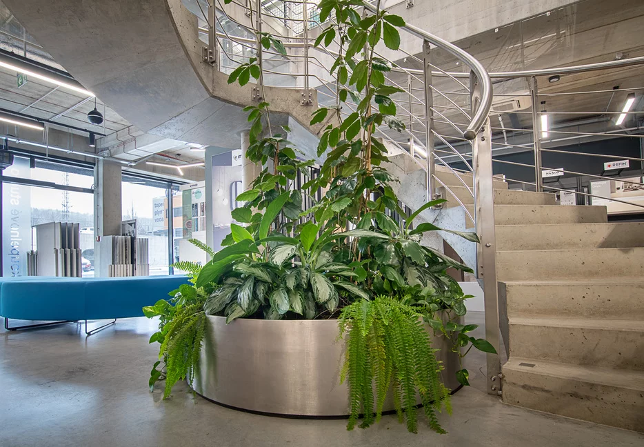 Open space, studie (mobiliář Techo) - Designový květináč na míru laděný do interiéru